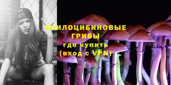 соль курить ск Щёлкино