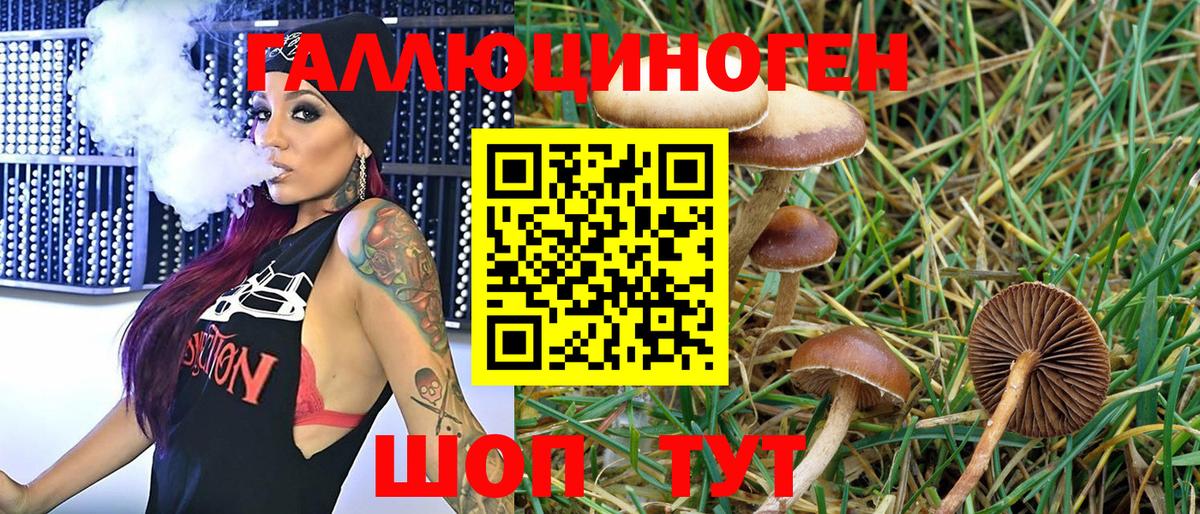 Галлюциногенные грибы Magic Shrooms  Вход с VPN  Заволжье  Псилоцибиновые грибы GOLDEN TEACHER 