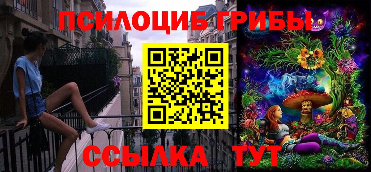 Галлюциногенные грибы Psilocybe Заволжье
