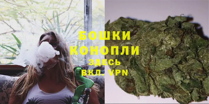 где купить наркоту  Заволжье  МАРИХУАНА Bruce Banner 